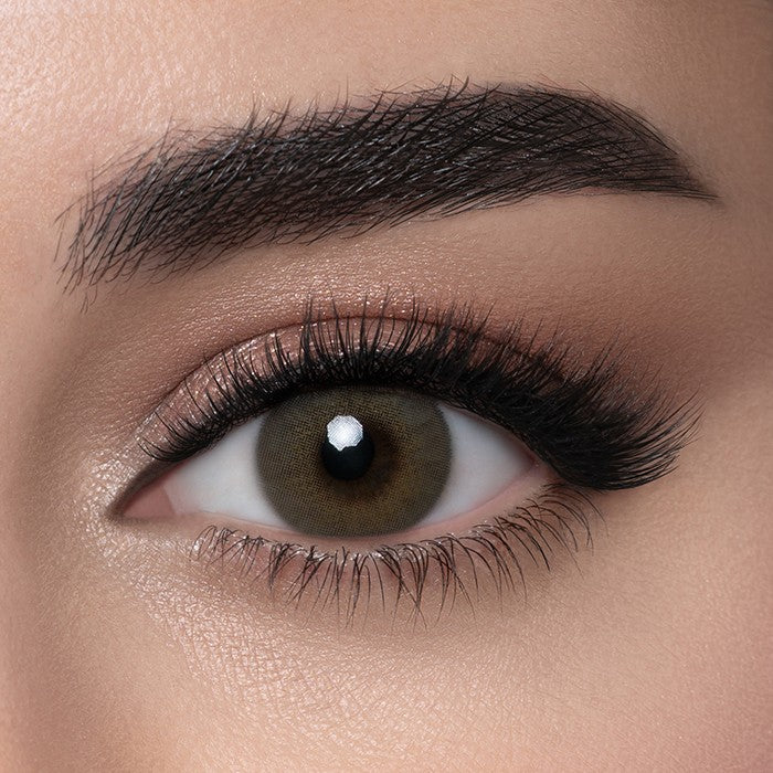 LensMe Petroleum @ لنس مي بتروليوم