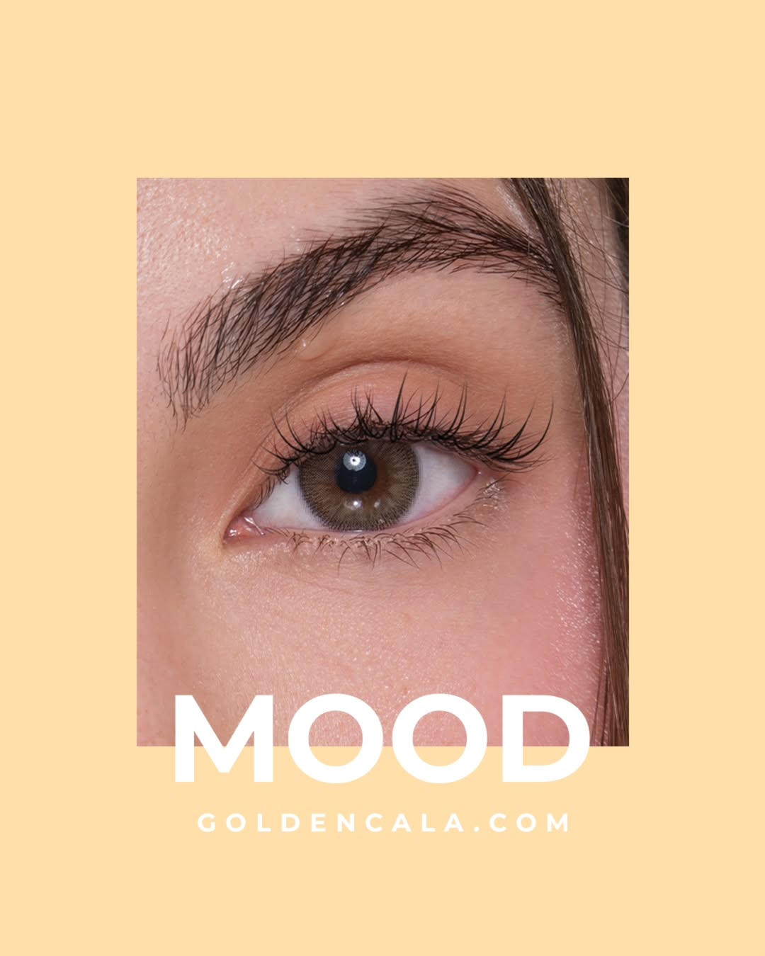 LensMe Mood Medical (One Eye Only)