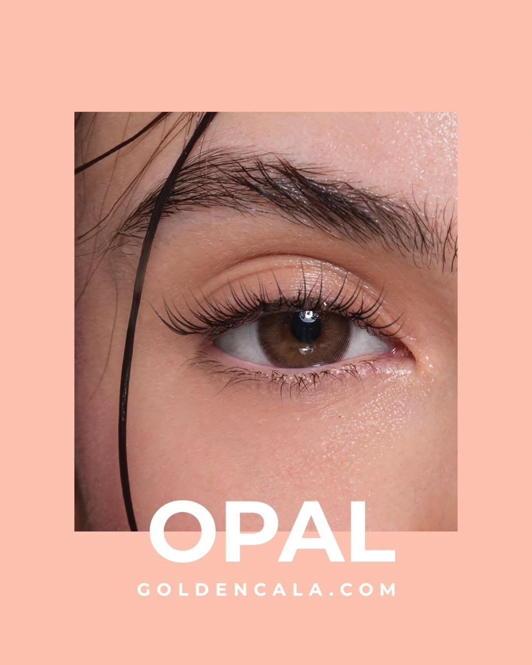 LensMe Opal