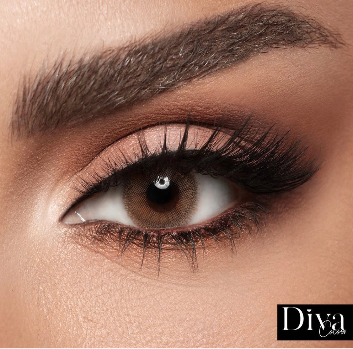 Diva Lava @ ديفا - لافا