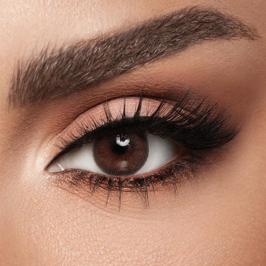 Diva Cedar @ ديفا - سيدار